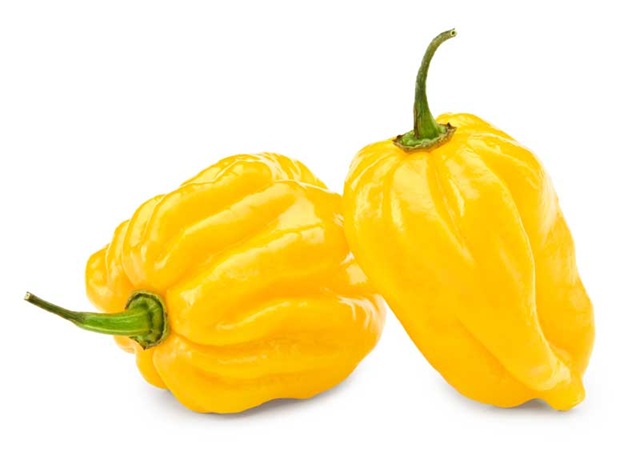 Habanero Biber Sarı Tohumu